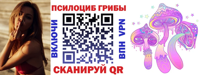 Галлюциногенные грибы Psilocybe Кяхта