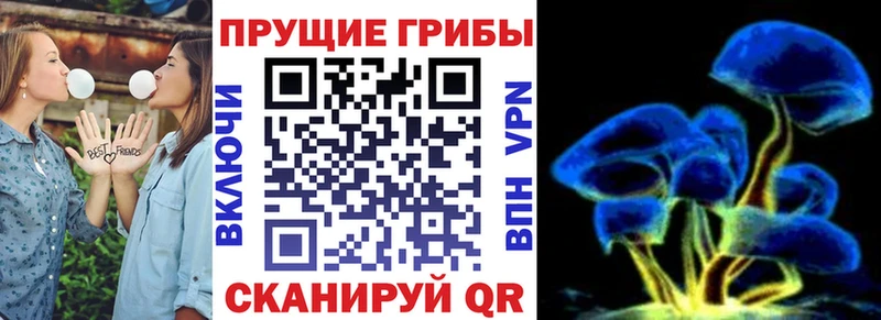 даркнет сайт Кяхта Галлюциногенные грибы Psilocybine cubensis